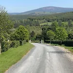Birch Valley Wicklow Ireland