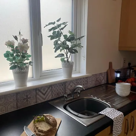 Birch Valley Wicklow Ireland *