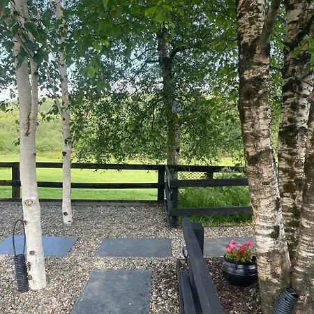 アパート Birch Valley Wicklow *