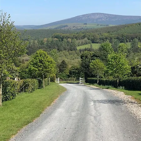 Birch Valley Wicklow Ireland