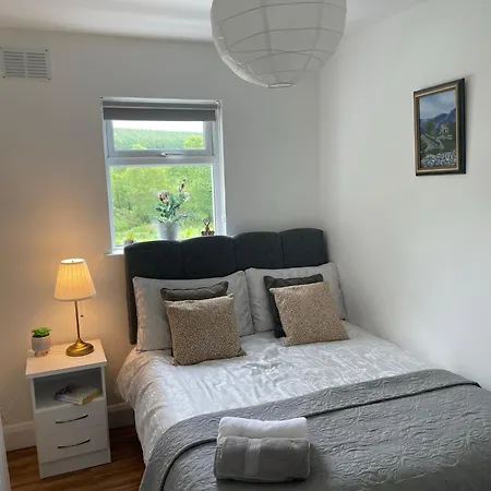 Birch Valley Wicklow Ireland * Tinahely