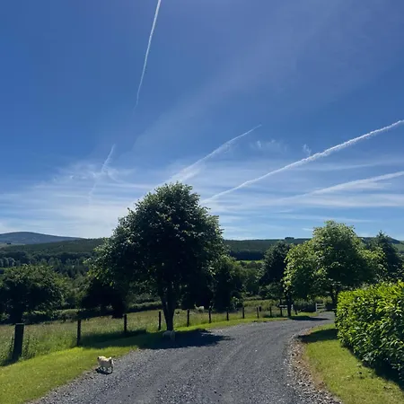 アパート Birch Valley Wicklow