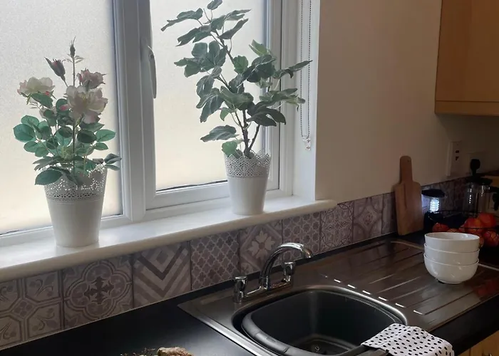 Birch Valley Wicklow Ireland *