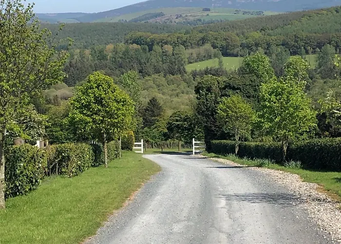 Birch Valley Wicklow Ireland