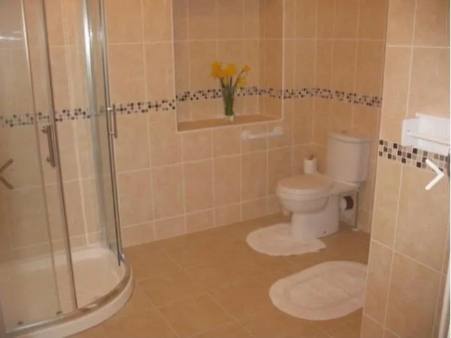 Birch Valley Wicklow Ireland Appartement *