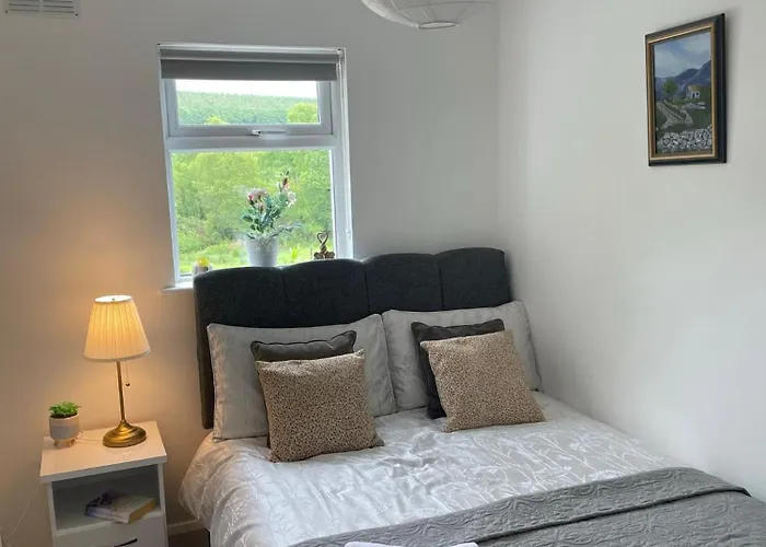 Birch Valley Wicklow Ireland * Tinahely